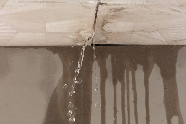 Professional Water Damage Repair technician working in Taylor, TX